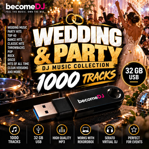 Wedding party music - party,